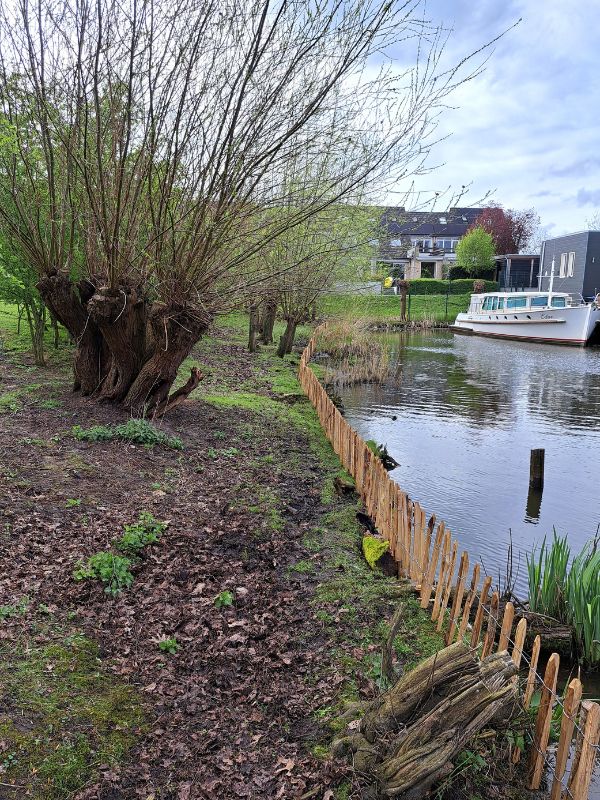 Project-schapenhek-naast-het-water