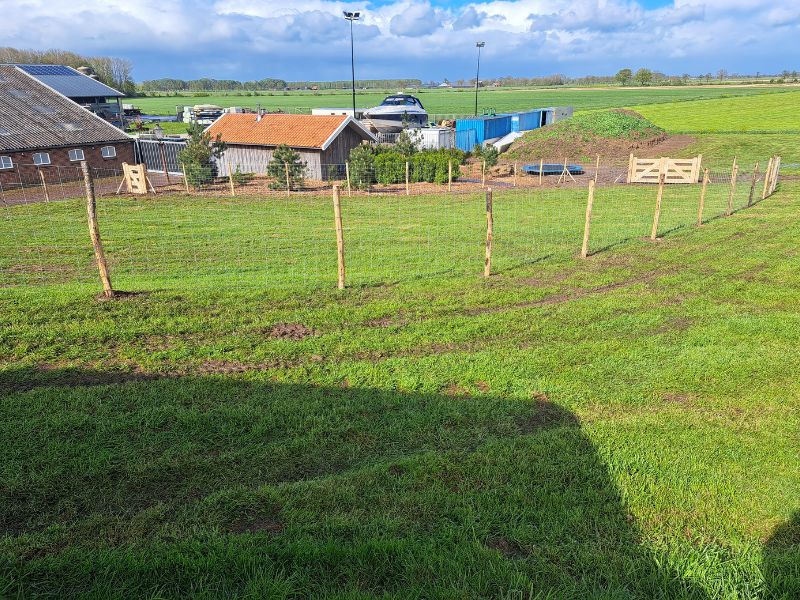 Schapenhekken plaatsen