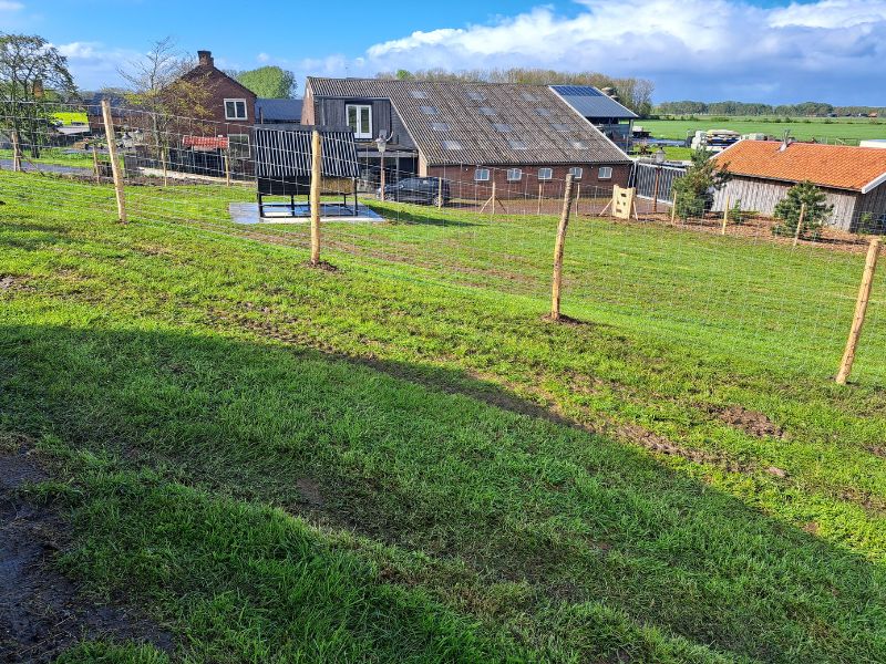 32 Schapengaas plaatsen