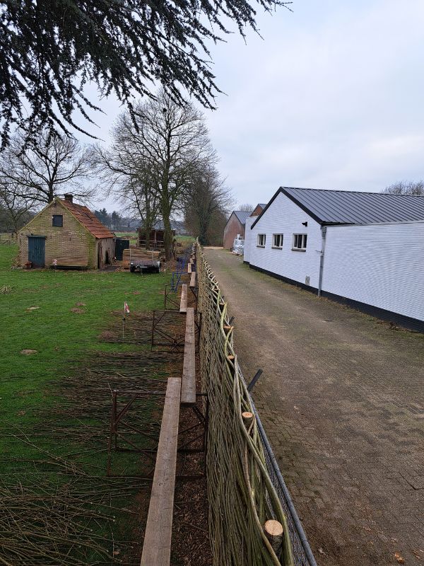 Project-wilgenschutting-plaatsen