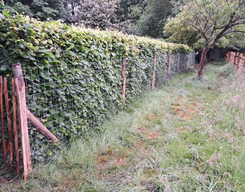 Schapenhekken laten plaatsen Duurzame schutting kopen